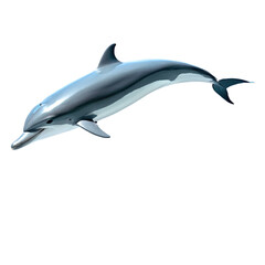 Obraz premium A streamlined dolphin glides upward with its sleek body gleaming in the light of day, marine life