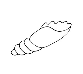 Simple hand-drawn illustration of a seashell in minimalistic line art style. Clean black outline on a white background. Perfect for beach-themed designs, coloring books, tattoo art, nature prints,