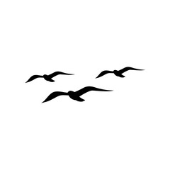 Obraz premium Three Seagulls icon isolated on white background