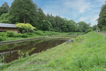里山の風景