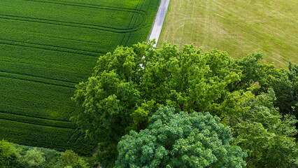 Aerial forest and farmland meeting in harmony