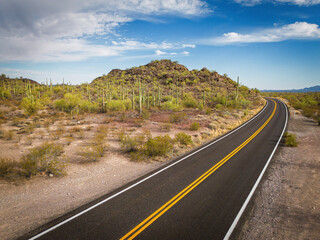 Cactus and Joshua trees along Highway 85 in Organ Pipe Cactus National Monument.  Empty desert...