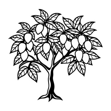 black and white mango tree clip art preview