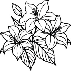 White Lily Flowers Arrangement with Leaves Sketch