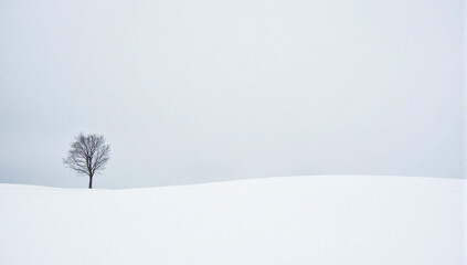 Fototapeta premium snow covered tree