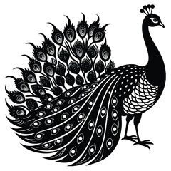 Fototapeta premium An illustration of a peacock, featuring an intricately patterned tail adorned with eye-like designs. It stands elegantly with its neck elongated and crowned, showcasing feathers on its body and tail. 