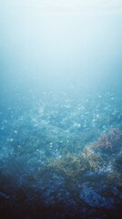 Fototapeta premium Underwater Serenity with Marine Life and Colorful Coral in Clear Blue Water, Capturing the Beauty of Ocean Ecosystems Beneath the Surface