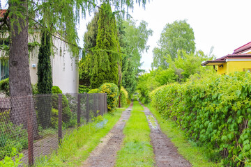 Narrow Green Path Between Lush Hedges Leading to Rural Homes on Cloudy Day