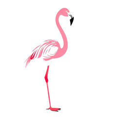 Obraz premium Elegant flamingo illustration with pink and white feathers on a stark black background.
