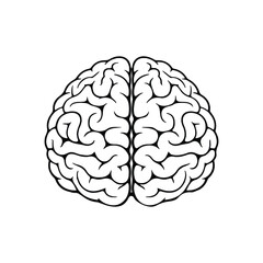 Brain Cartoon Vector Icon Illustration. Education Object Icon Concept Isolated Premium Vector. Flat Cartoon Style illustration vector