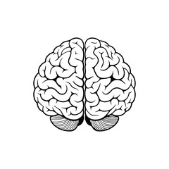 Brain Cartoon Vector Icon Illustration. Education Object Icon Concept Isolated Premium Vector. Flat Cartoon Style illustration vector