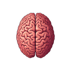 Brain Cartoon Vector Icon Illustration. Education Object Icon Concept Isolated Premium Vector. Flat Cartoon Style illustration vector