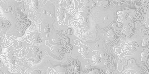Obraz premium Vector grid map.Topographic contour map on white background. 