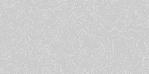 Vector grid map.Topographic contour map on white background.	