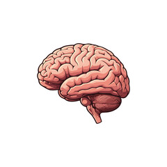 Brain Cartoon Vector Icon Illustration. Education Object Icon Concept Isolated Premium Vector. Flat Cartoon Style illustration vector