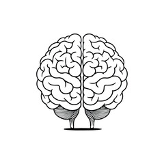 Brain Cartoon Vector Icon Illustration. Education Object Icon Concept Isolated Premium Vector. Flat Cartoon Style illustration vector