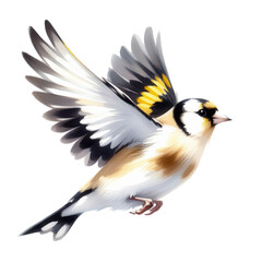 Fototapeta premium Goldfinch soars with graceful wings