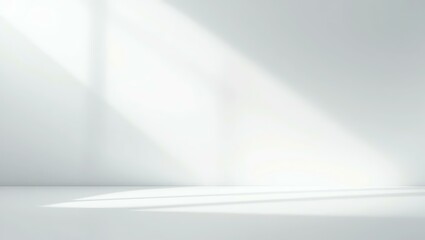A serene, minimalistic interior space illuminated by soft light casting shadows on a plain surface.