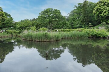 公園の池