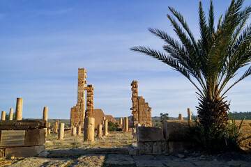 Obraz premium L'antica città Romana di Sufetula, con il foro ed il teatro perfettamente conservati. Sbeitla, Tunisia
