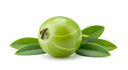 Indian gooseberry nestled among leaves
