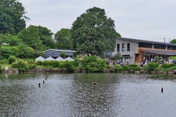 公園の池