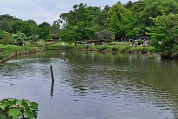 公園の池
