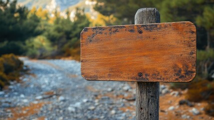 Rustic wooden signpost in a natural setting, outdoor pathway, empty sign, forest background.
