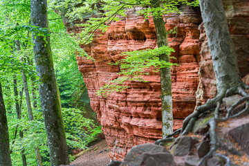 The Path road along red rock formations reserve Altschlossfelsen in the Saarland region of Germany...