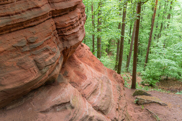 Red rock formations reserve Altschlossfelsen in the Saarland region of Germany the stones have a...