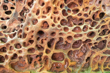 Red rock formations a close-up of the bizarre structure in reserve Altschlossfelsen in the Saarland...