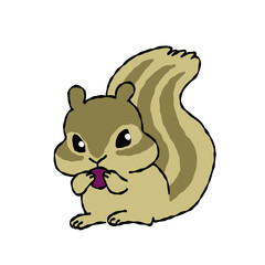 木の実を食べるかわいいリスのイラスト