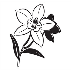 Goldenrod Flower in Natural Light with Rich Texture