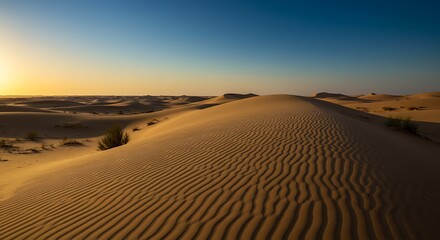 Desert Dune Sunrise: Golden Sands and Clear Sky