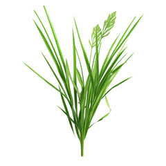 Obraz premium A bunch of green grass on black backdrop