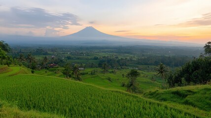 Fototapeta premium Top Angle of Tropical Rice Paddies at Dusk with Golden Reflections and Majestic Mountain View