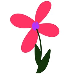 Red flower on white background 