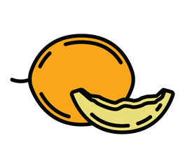 Contour icon of a ripe melon. A design element.