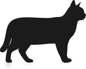 This vector illustration shows a black silhouette of a cat and a dog, common domestic animals