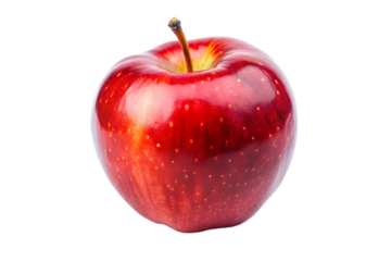 Large Industrial Warehouse Pallet Racking System Full of Stacked Cardboard Shipping Boxes isolated on a white background, cutout, PNG.