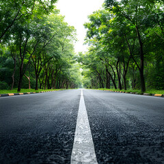 Obraz premium Road through lush green trees nature scenic route