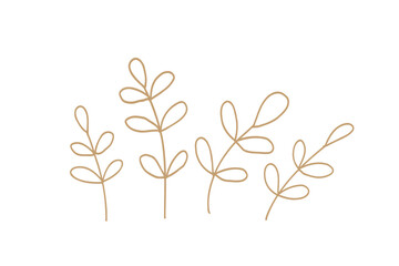 Adobe Illustr植物の手書き北欧風シンプルベクターイラスト 金