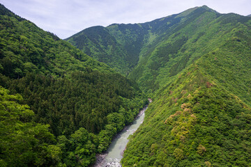 日本の徳島県の祖谷渓のとても美しい風景