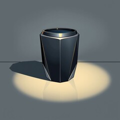 Geometric Black Vase in Soft Light