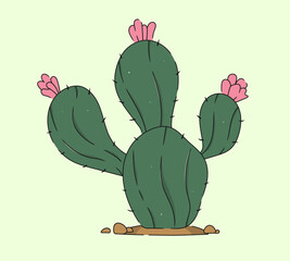 Single Hand-Drawn Cactus Vector Desert Plant, Succulent, Mexico Element. Exotic botanical spiny element.