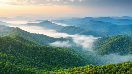 Obraz premium Yopik Mountain Range in Morning Fog with High Elevation Light and Lush Green Forests