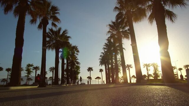 Panorama of pathway with palm trees leading to tropical beach in Vlore, Albania, during sunset