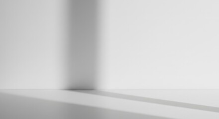 White background with vertical shadow