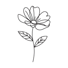 Simple line art illustration of a blooming flower with leaves, perfect for botanical, nature, and floral-themed projects.