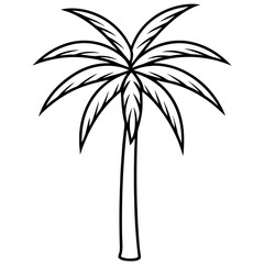 Palmyra palm tree vector line art on white baclground